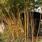 Eco Maison Entiere Avec Terrasse Dans Jardin Potager Piscine Parking Holiday home *