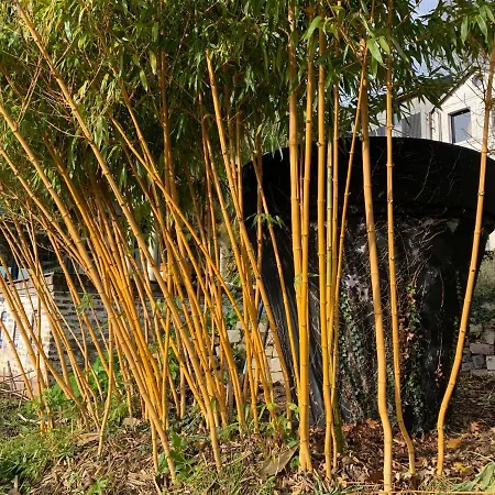 Eco Maison Entiere Avec Terrasse Dans Jardin Potager Piscine Parking בית נופש *