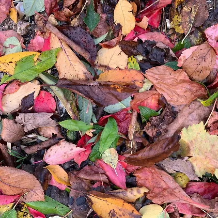 בית נופש Eco Maison Entiere Avec Terrasse Dans Jardin Potager Piscine Parking *