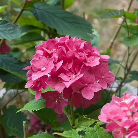 Eco Maison Entiere Avec Terrasse Dans Jardin Potager Piscine Parking Holiday home *