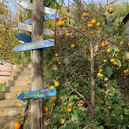 בית נופש Eco Maison Entiere Avec Terrasse Dans Jardin Potager Piscine Parking רואן