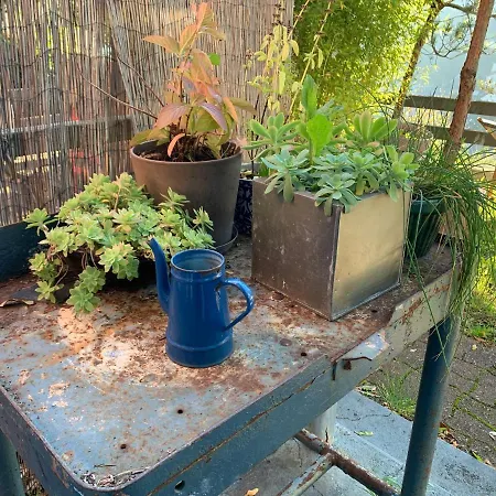 Eco Maison Entiere Avec Terrasse Dans Jardin Potager Piscine Parking * Руан