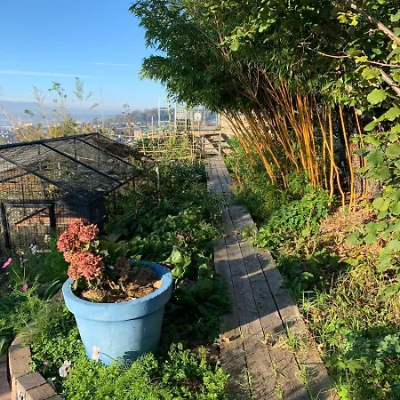Eco Maison Entiere Avec Terrasse Dans Jardin Potager Piscine Parking *