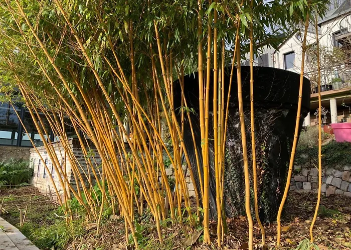 Eco Maison Entiere Avec Terrasse Dans Jardin Potager Piscine Parking بيت للعطل *