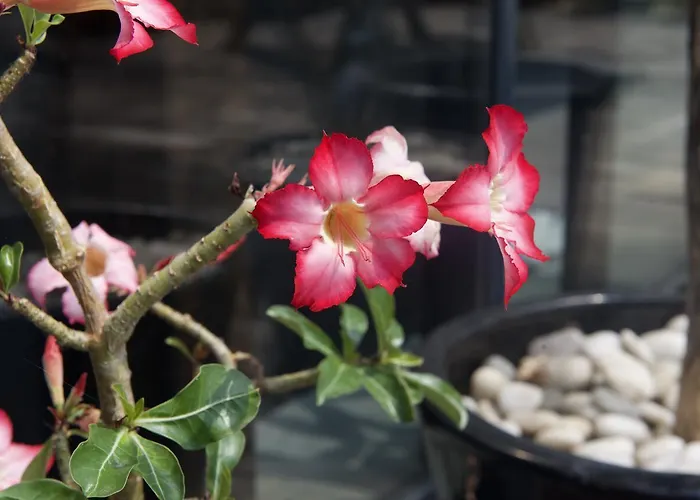 Eco Maison Entiere Avec Terrasse Dans Jardin Potager Piscine Parking بيت للعطل