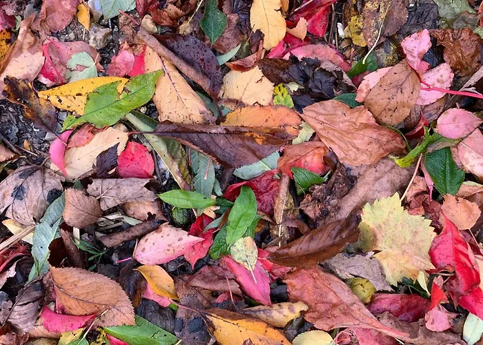 بيت للعطل Eco Maison Entiere Avec Terrasse Dans Jardin Potager Piscine Parking *