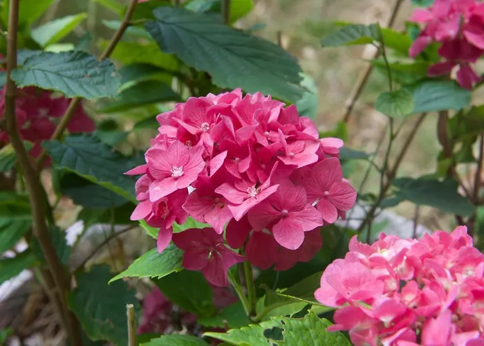 Eco Maison Entiere Avec Terrasse Dans Jardin Potager Piscine Parking بيت للعطل *