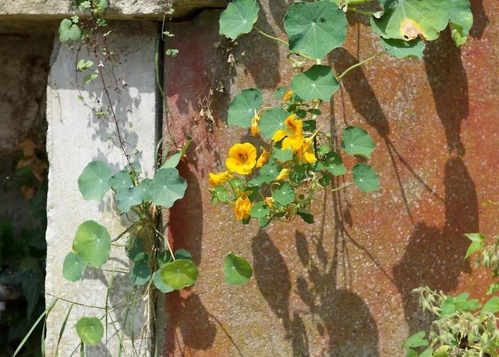 Ferienhaus Eco Maison Entiere Avec Terrasse Dans Jardin Potager Piscine Parking *