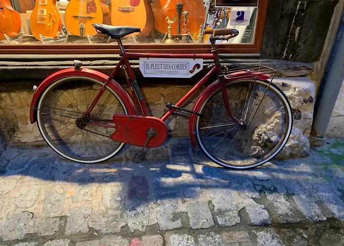 Eco Maison Entiere Avec Terrasse Dans Jardin Potager Piscine Parking * Rouen