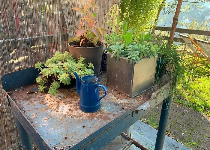 Eco Maison Entiere Avec Terrasse Dans Jardin Potager Piscine Parking * روان