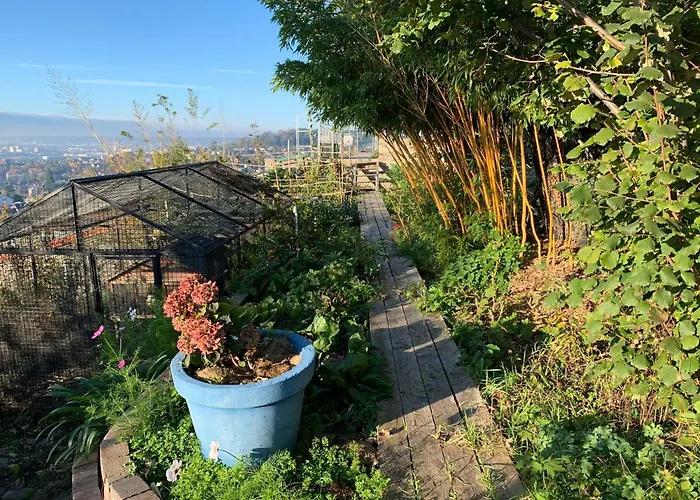Eco Maison Entière Avec Terrasse Dans Jardin Potager Piscine Parking *